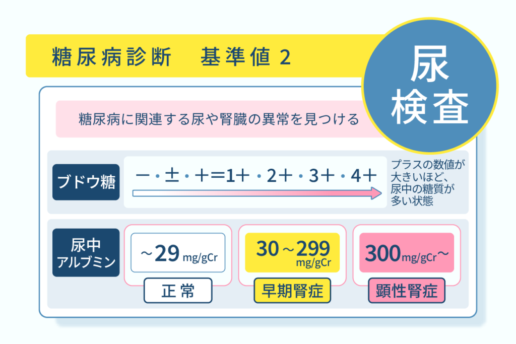 糖尿病診断、基準値２尿検査